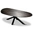  Tafel Sandro Organisch 240x110 Links 